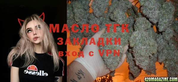 стаф Алексин