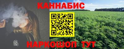 apvp Камышлов