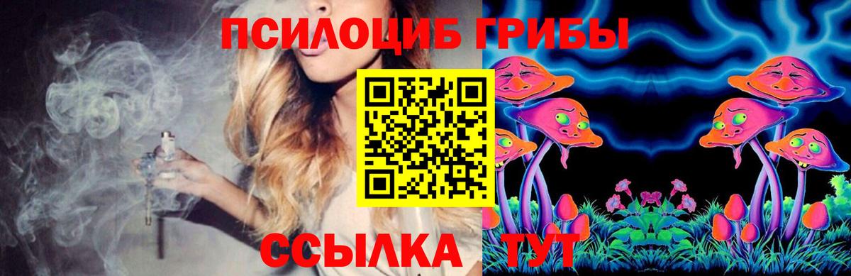 Галлюциногенные грибы Psilocybine cubensis  Вход с VPN  Удомля 